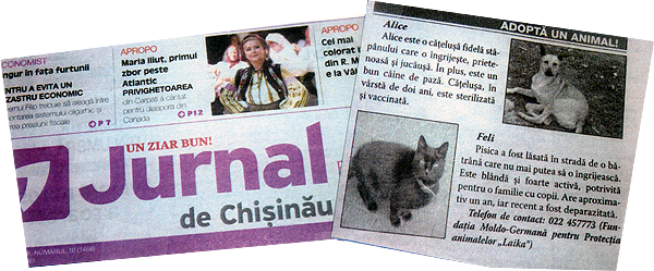 Wir stellen regelmäßig in der größten Tageszeitung Jurnal de Chisin unsere LAIKA-Tiere vor.
